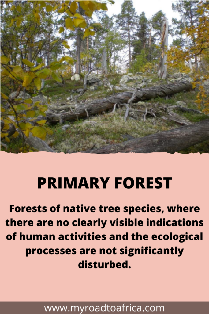 forest fact