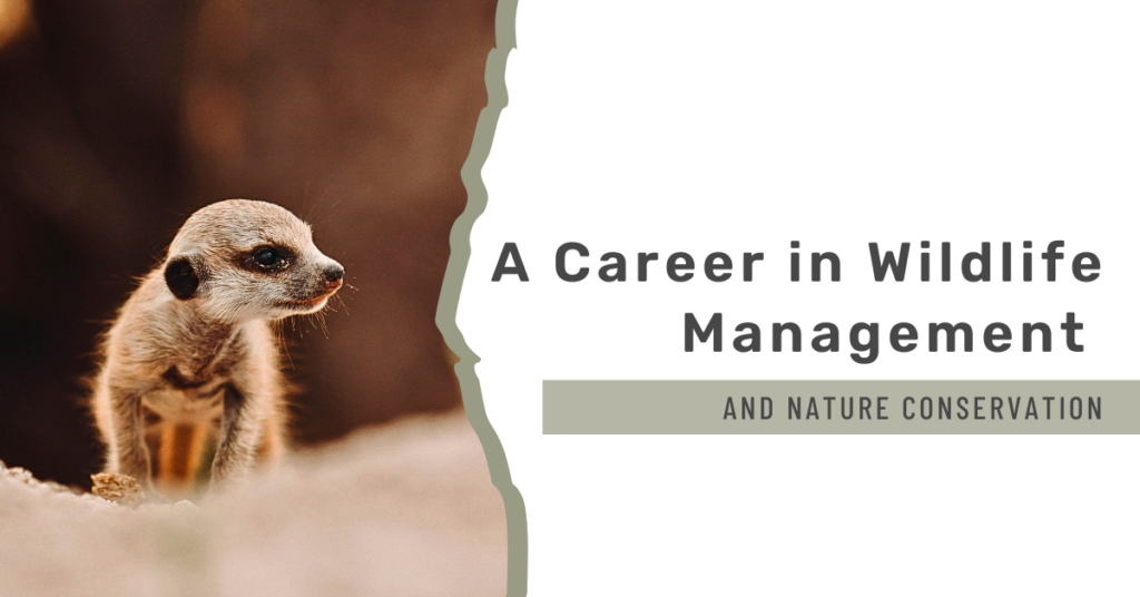 header blogpost a career in wildlife management or nature conservation