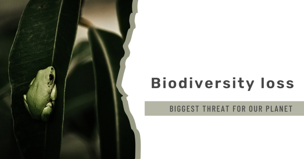 header for blog about biodiversity loss and the threats it brings