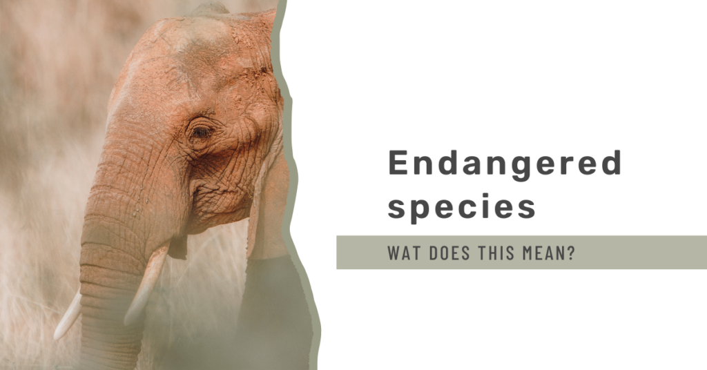 Endangered Species, What Does This Mean?