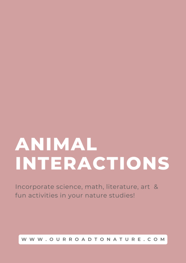 Animal Interactions Study Unit